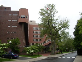 Baker House and the Class of 1950 Willow