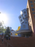 Stata Center